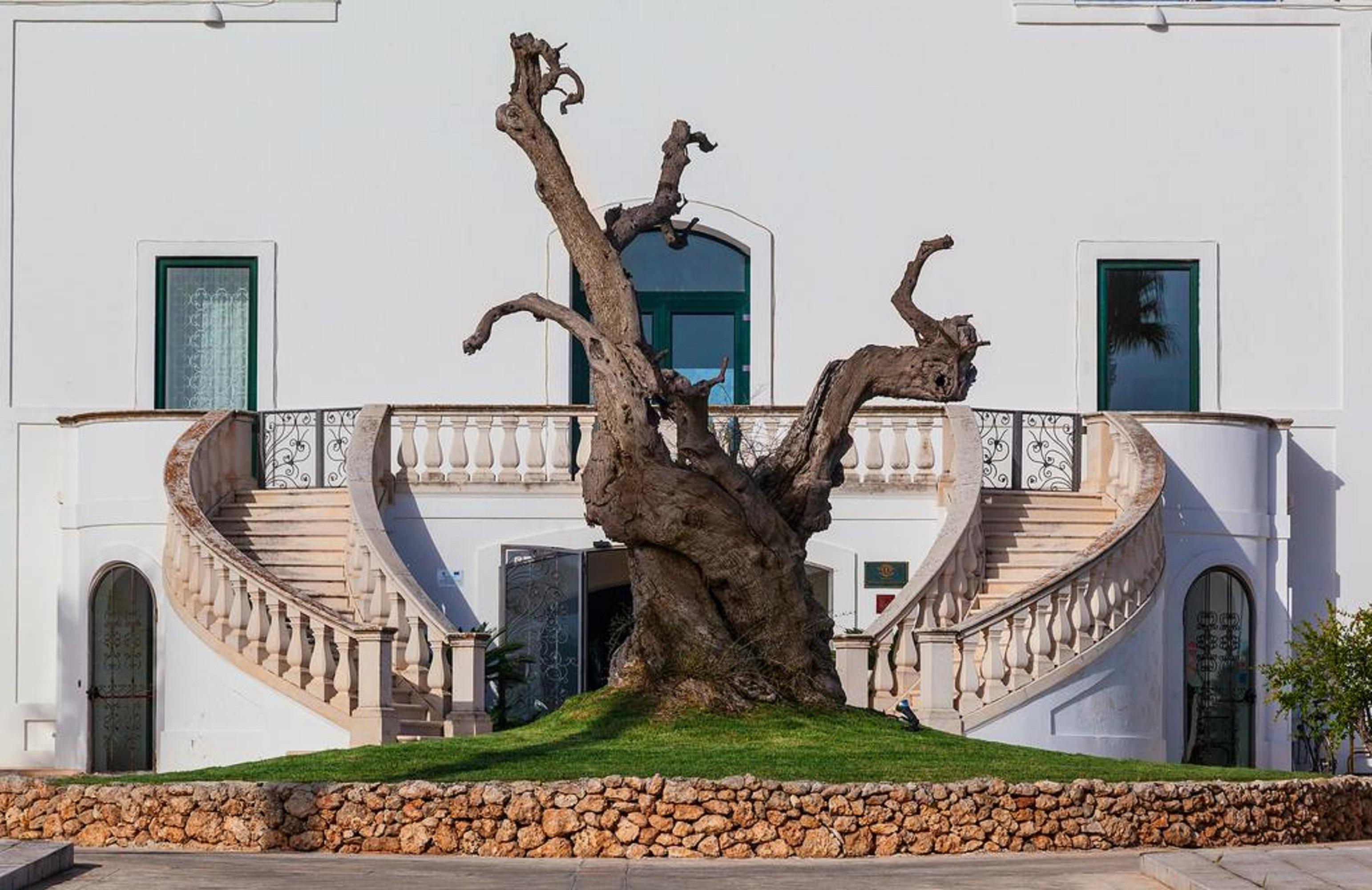 Masseria Relais Del Cardinale Fasano Exterior foto